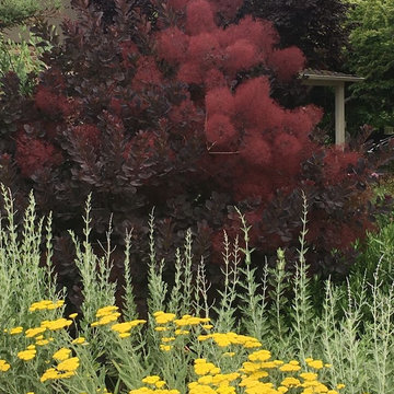 Interesting plant combinations