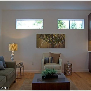 Beaumont-Wilshire Contemporary Home Family Room