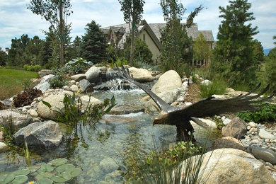 This is an example of a traditional landscaping in Denver.