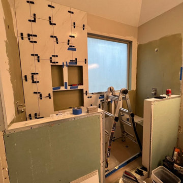 Bathroom Remodel | The Luxe Shower Project (Before)