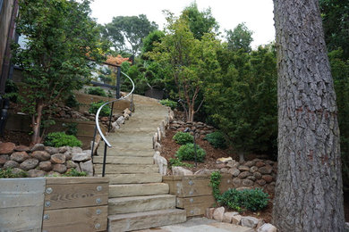 This is an example of a landscaping in San Francisco.