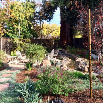Redwoods set the stage in Menlo Park