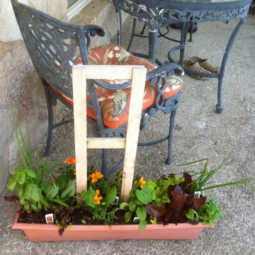 Vegetable & Herb Gardens