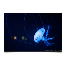 Jellyfish Collection - Prints And Posters