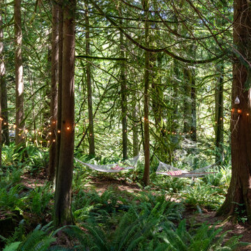 Forest Bathing in Hammocks Hung from the Trees