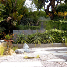 Landscape Ideas