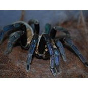 Lizzi Smith's photo