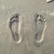 Sue Bruceさんの写真