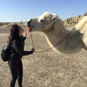 Samantha Tai's photo