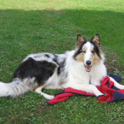Brenda Briguglio's photo