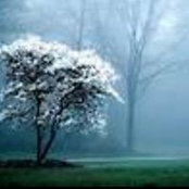 Liz Weal's photo