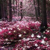 Suzanne Olah's photo
