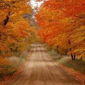 Dena McKeel's photo