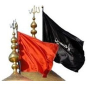 Mohmmed Alsaeed's photo