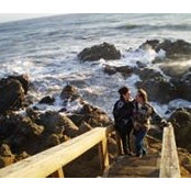 Sally Turman's photo