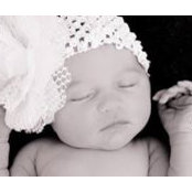 Don VanDaele's photo
