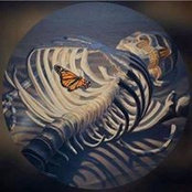 Foto von Michell Fuentes