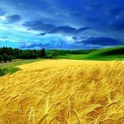 Olga Ibrahim's photo