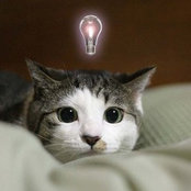chihiro kondo's photo
