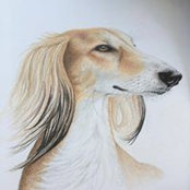 Gail Arkell's photo