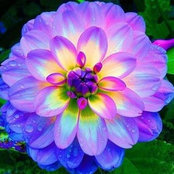 Sue Blake's photo