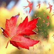 Stacey Walker's photo