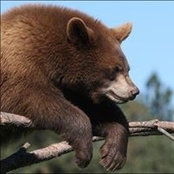 Dmitriy Shestakov's photo