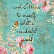 Amanda Hummel's photo