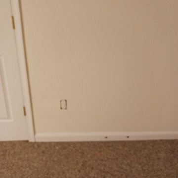 Window Seals