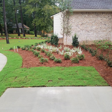 Landscape Perspectives 2018-2020