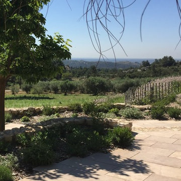 Un Mas dans Les Alpilles