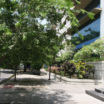 City Garden