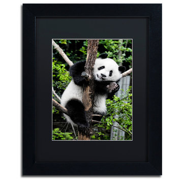 Philippe Hugonnard 'Giant Panda II' Art, Black Frame, Black Matte, 14"x11"