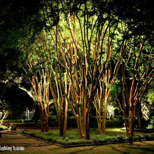 landscape lighting