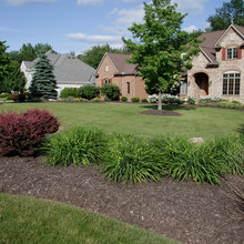 Landscape Ideas