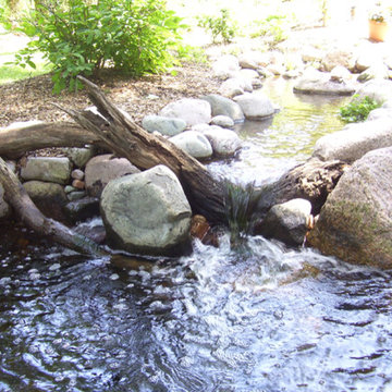 Backyard Ponds