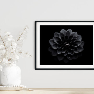 Black Beauty Photorealistic Digital Artwork Floral Wall Art Prints