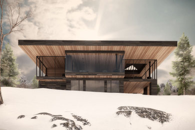 Inspiration for a large modern two-story wood and clapboard exterior home remodel in Montreal