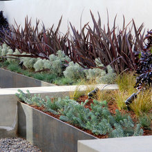 house landscape ideas