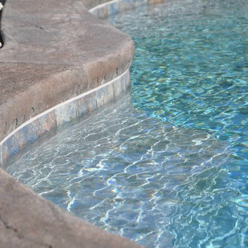 Custom Freeform style salt water inground pool with Raised Spa
