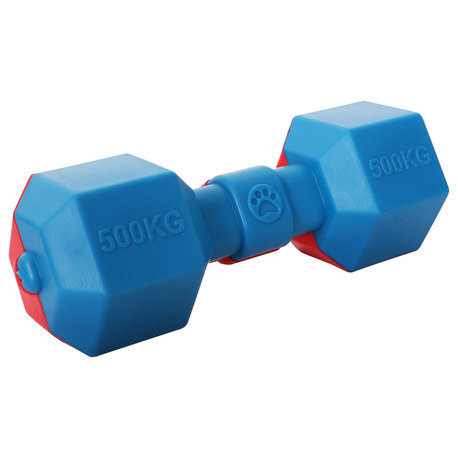 Dumbbell Durable Water Floating Chew And Fetch Dog Toy