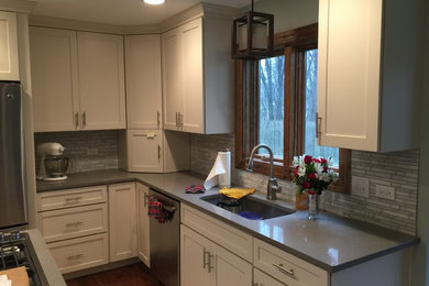 Kitchen - transitional kitchen idea in Chicago