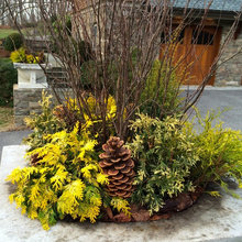 Container gardening