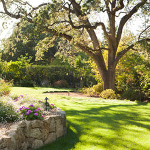 frontyard