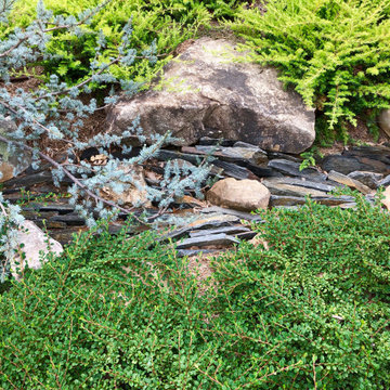 Contemporary Asian Fusion Garden