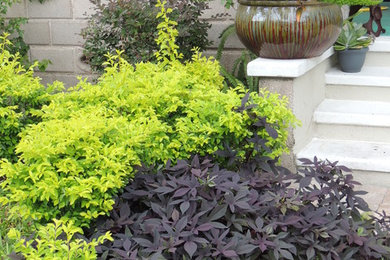 Design ideas for a tropical landscaping in Jacksonville.