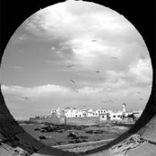 Alexandre Woronoff's photo
