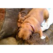 Diane Carson Bartley's photo