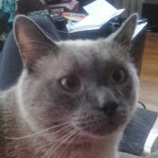Bobbi Baltz's photo