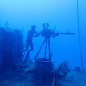 Daniele Alberti's photo